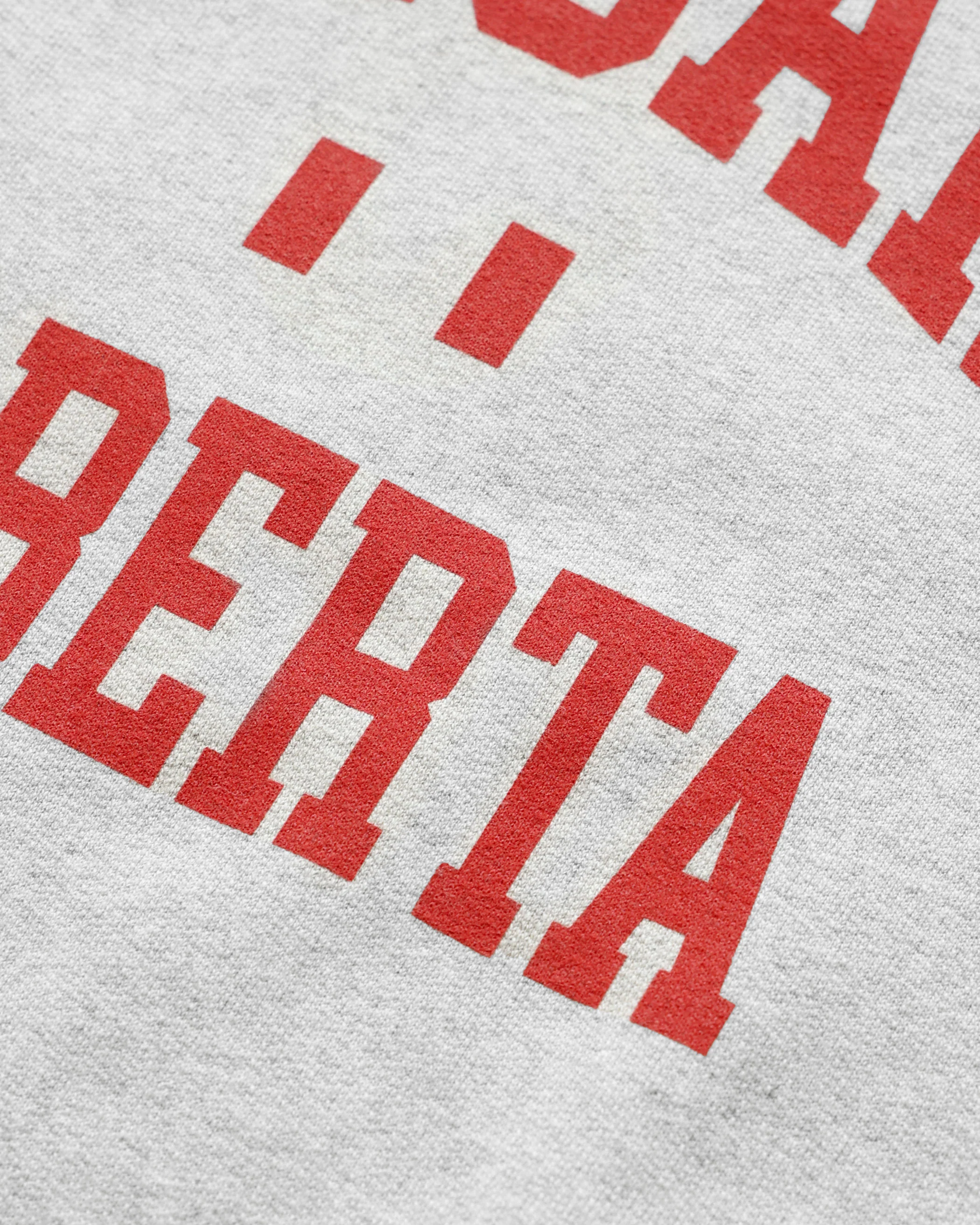 Calgary Fleece Sweatshirt Heather Grey - Unisex - Image 5