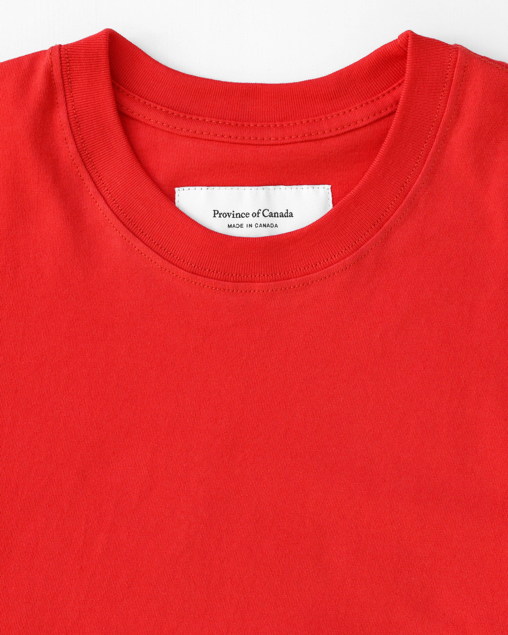 Monday Crop Top Tart - Image 4