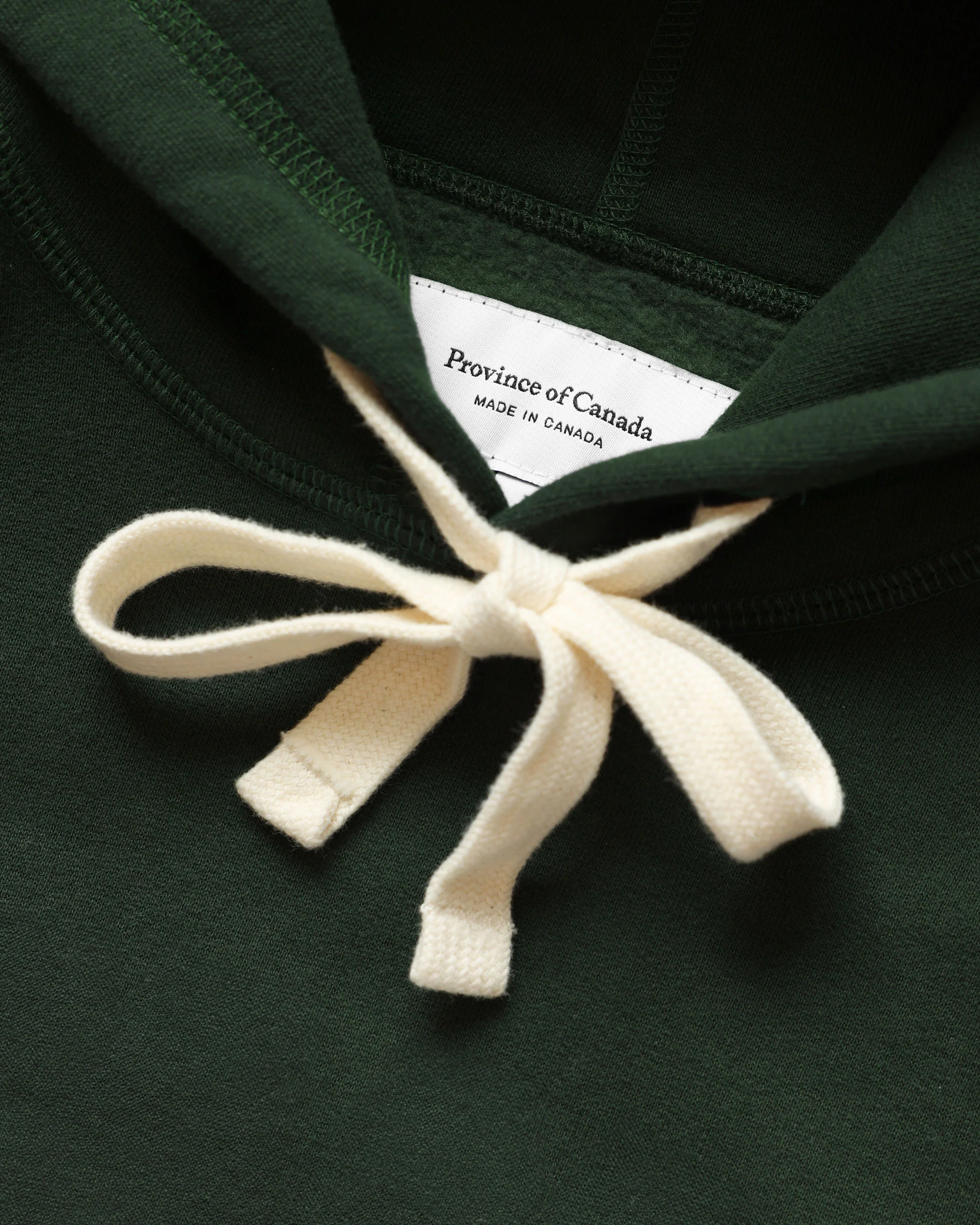Prince Edward County Fleece Hoodie Forest - Unisex - Image 4